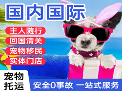 成都天府机场货运国际宠物托运 【国